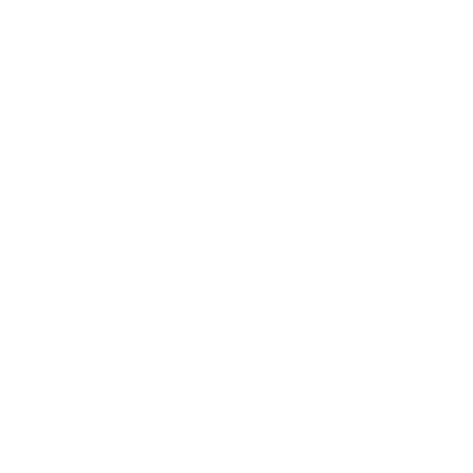 Pi Cloud safeguards your data from data loss and disaster recovery solutions